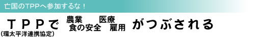 TPP(環太平洋連携協定)で 農業 食の安全 医療 雇用 がつぶされる 亡国のTPPへ参加するな