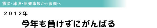 震災・津波・原発事故から復興へ 2012年 今年も負けずにがんばる