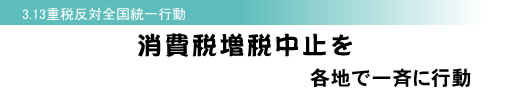 3.13重税反対全国統一行動 消費税増税中止を各地で一斉に行動