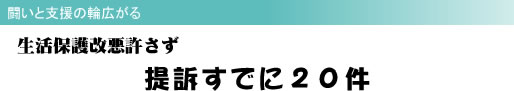 闘いと支援の輪広がる 生活保護改悪許さず 提訴すでに20件